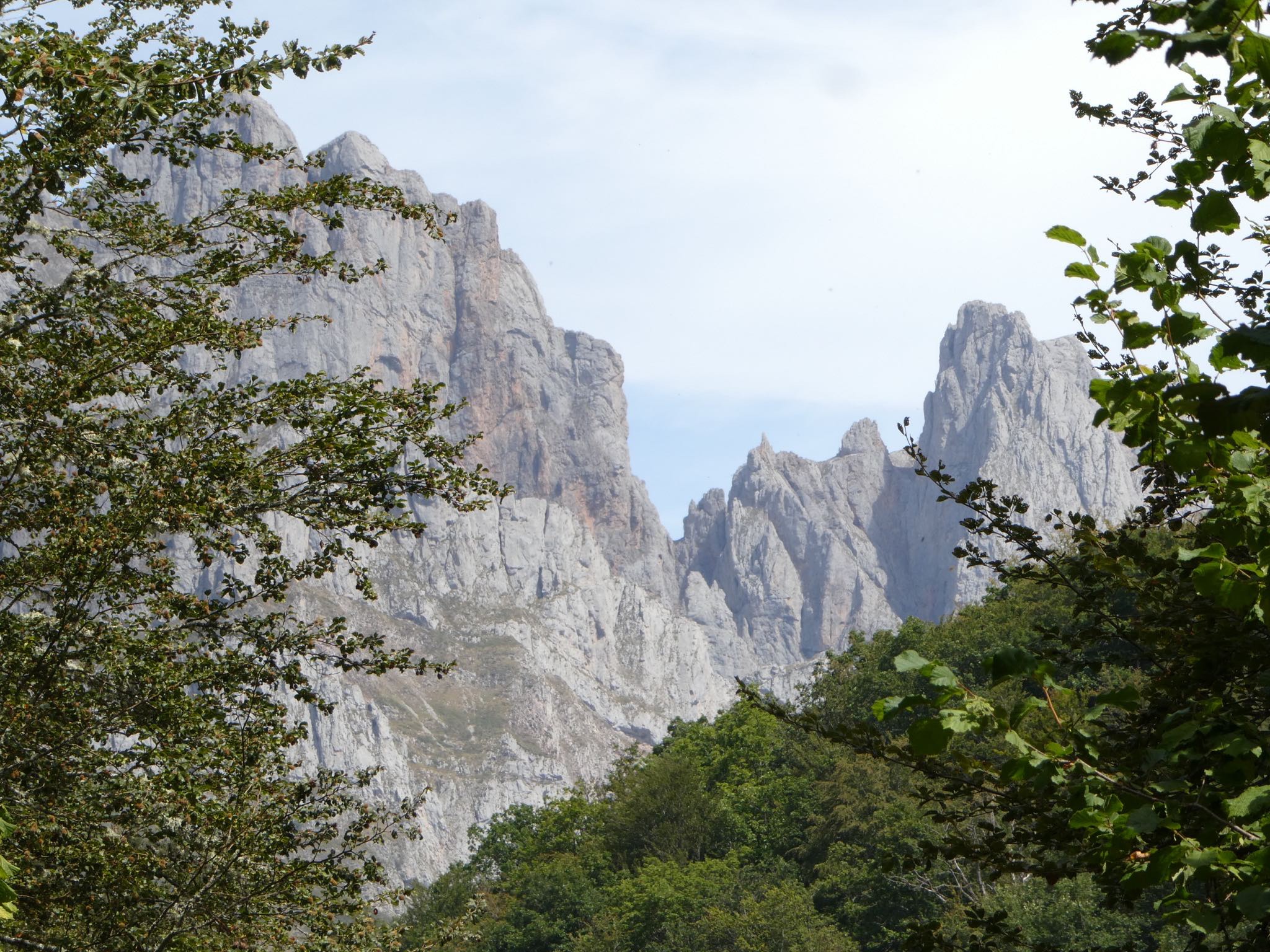 Picos de Europa I